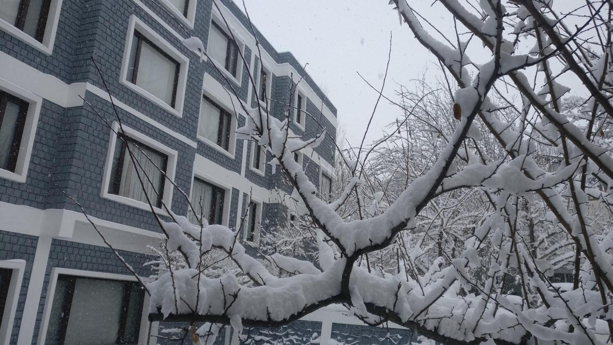 Hotel The Каргил Экстерьер фото